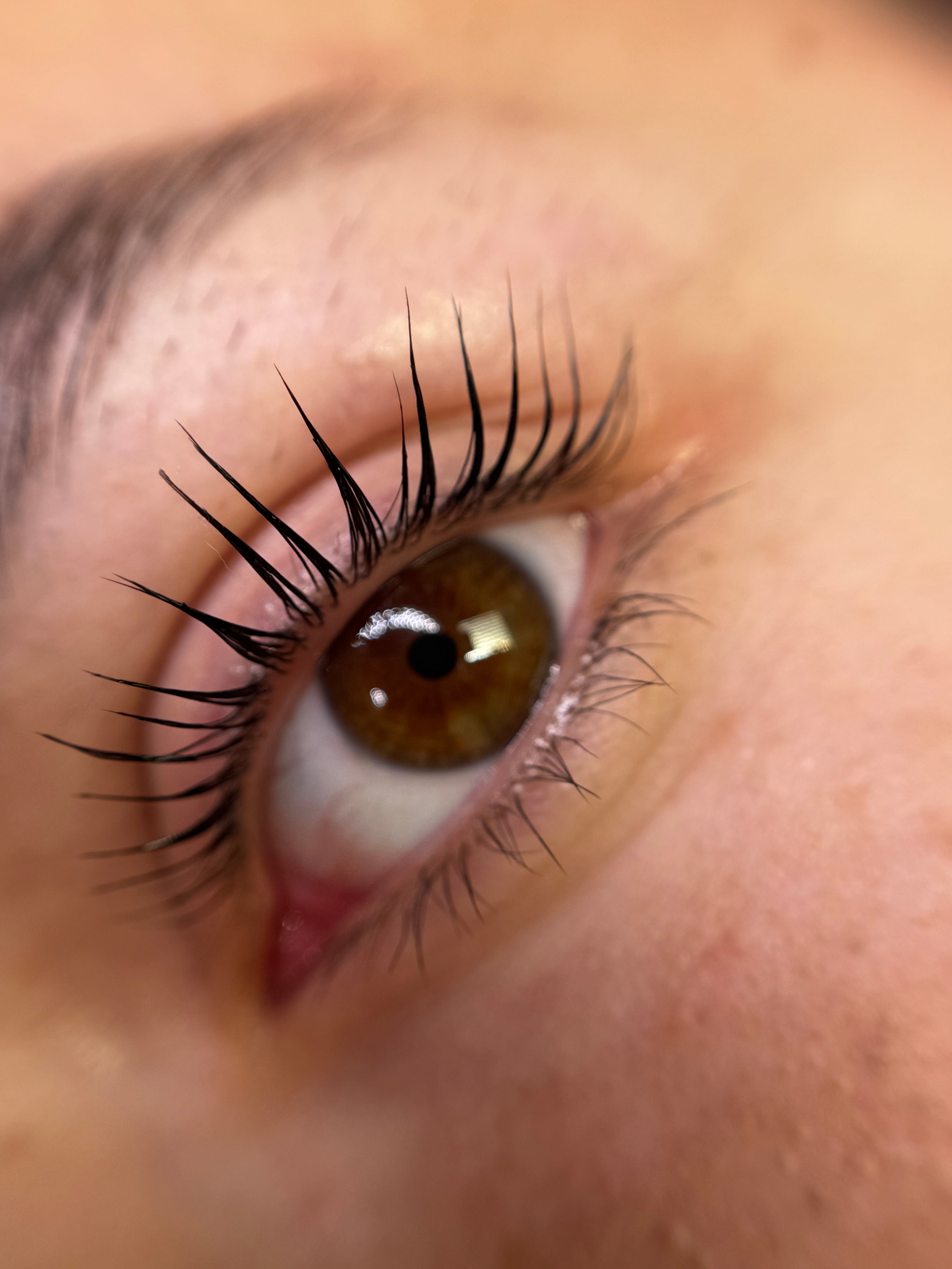 Corso Laminazione COREANA ciglia&sopracciglia